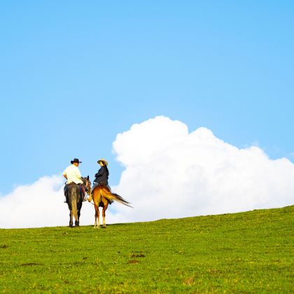 新疆乌鲁木齐+北疆+喀纳斯+伊犁+那拉提旅游风景区+赛里木湖12日11晚私家团 新疆乌鲁木齐+北疆+喀纳斯+伊犁+那拉提旅游风景区+赛里木湖12日11晚私家团