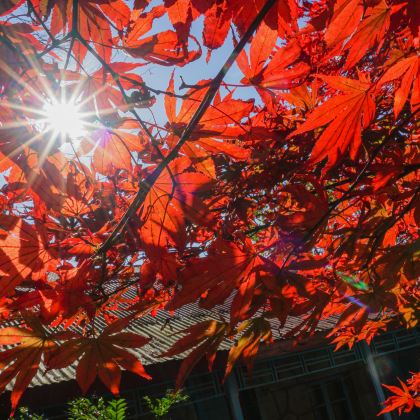 北京5日4晚自由行 北京5日4晚自由行