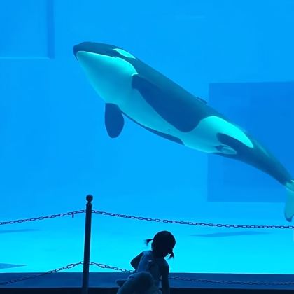 广州长隆+珠海长隆4日3晚跟团游 广州长隆+珠海长隆4日3晚跟团游