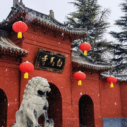 河南郑州+洛阳+开封+老君山景区5日4晚私家团 河南郑州+洛阳+开封+老君山景区5日4晚私家团