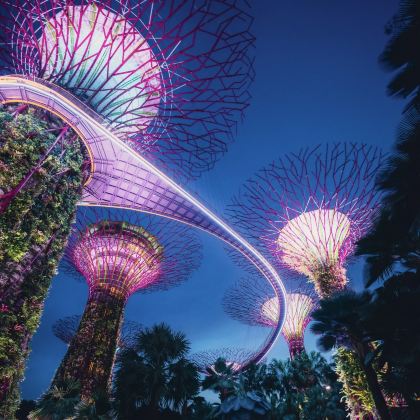 新加坡夜间野生动物园+新加坡动物园+河川生态园+新加坡国立大学+星耀樟宜4日3晚私家团 新加坡夜间野生动物园+新加坡动物园+河川生态园+新加坡国立大学+星耀樟宜4日3晚私家团