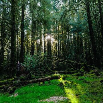 英国伦敦+温彻斯特+伯恩矛斯+埃克塞特+布里斯托尔+巴斯8日7晚拼小团 英国伦敦+温彻斯特+伯恩矛斯+埃克塞特+布里斯托尔+巴斯8日7晚拼小团