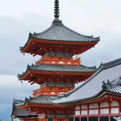 日本大阪+京都+东京7日6晚私家团 日本大阪+京都+东京7日6晚私家团