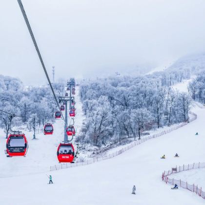 长白山5日自由行 长白山5日自由行