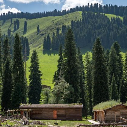 新疆伊宁市+赛里木湖+库尔德宁景区+那拉提旅游风景区+巴音布鲁克景区7日6晚私家团 新疆伊宁市+赛里木湖+库尔德宁景区+那拉提旅游风景区+巴音布鲁克景区7日6晚私家团