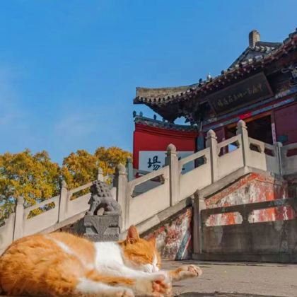 陕西西安+华山+华清池+兵马俑+少林寺+龙门石窟+云台山+清明上河园+开封包公祠7日6晚跟团游 陕西西安+华山+华清池+兵马俑+少林寺+龙门石窟+云台山+清明上河园+开封包公祠7日6晚跟团游