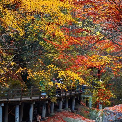 成都+剑门关+阆中古城+光雾山旅游景区+米仓山国家森林公园6日5晚私家团 成都+剑门关+阆中古城+光雾山旅游景区+米仓山国家森林公园6日5晚私家团