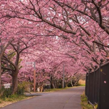 日本熊本市+黑川温泉+福冈6日5晚私家团 日本熊本市+黑川温泉+福冈6日5晚私家团