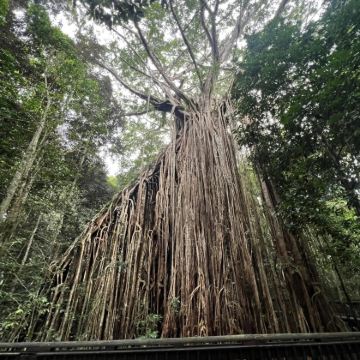 澳大利亚凯恩斯5日4晚私家团 澳大利亚凯恩斯5日4晚私家团