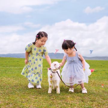 新疆乌鲁木齐+北疆+喀纳斯景区+伊犁+赛里木湖9日8晚跟团游 新疆乌鲁木齐+北疆+喀纳斯景区+伊犁+赛里木湖9日8晚跟团游