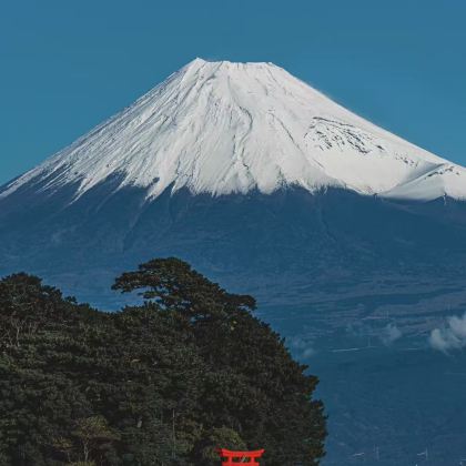 日本东京+箱根+伊豆之国市+西伊豆町+东伊豆町7日6晚拼小团 日本东京+箱根+伊豆之国市+西伊豆町+东伊豆町7日6晚拼小团