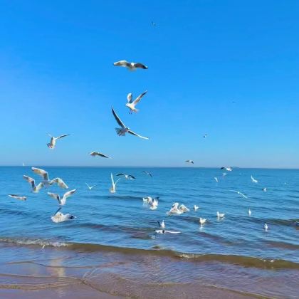 秦皇岛+北戴河+山海关+承德+避暑山庄+唐山抗震纪念馆5日4晚私家团 秦皇岛+北戴河+山海关+承德+避暑山庄+唐山抗震纪念馆5日4晚私家团