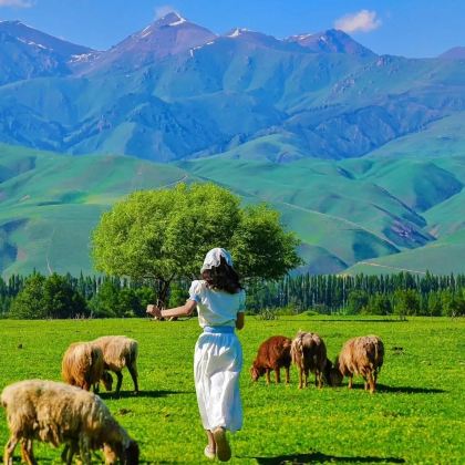 秦皇岛+北戴河+承德+乌兰布统旅游区+木兰围场+坝上6日5晚私家团 秦皇岛+北戴河+承德+乌兰布统旅游区+木兰围场+坝上6日5晚私家团