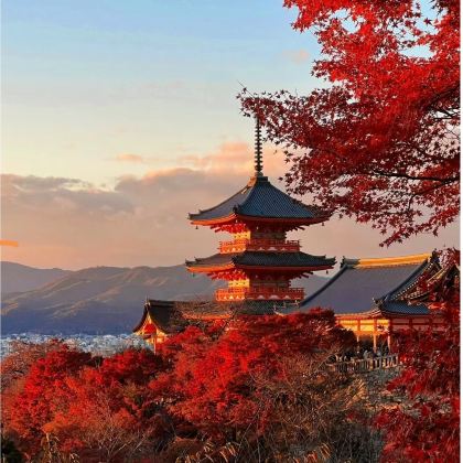 日本东京+京都+奈良+大阪+镰仓市6日5晚跟团游 日本东京+京都+奈良+大阪+镰仓市6日5晚跟团游