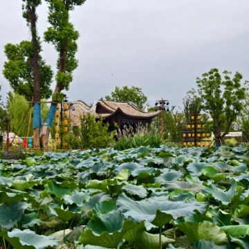 抱石公园+仙女湖+中国洞都2日1晚私家团 抱石公园+仙女湖+中国洞都2日1晚私家团