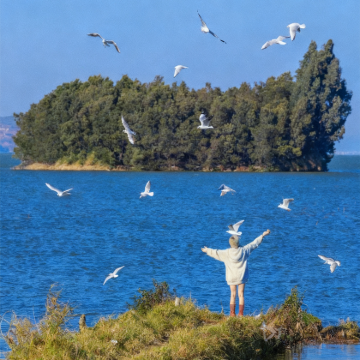 云南昆明+大理市+丽江+洱海+玉龙雪山6日5晚跟团游 云南昆明+大理市+丽江+洱海+玉龙雪山6日5晚跟团游