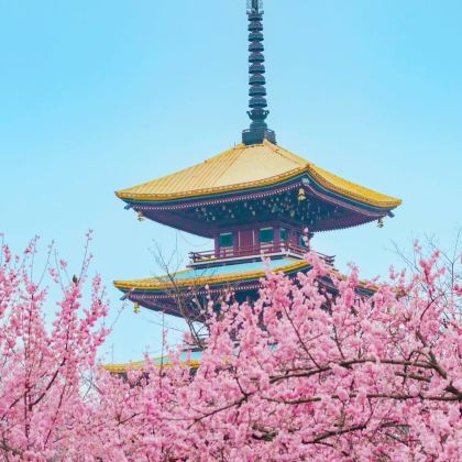 武汉4日3晚跟团游 武汉4日3晚跟团游