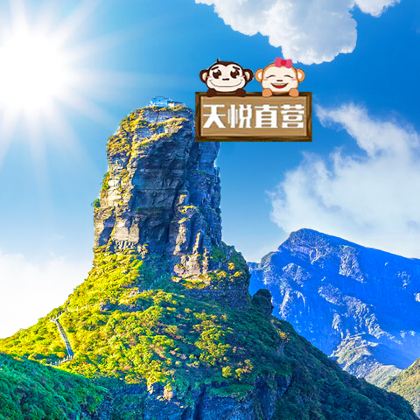 贵州黄果树+梵净山+镇远+西江千户苗寨+荔波7日6晚跟团游