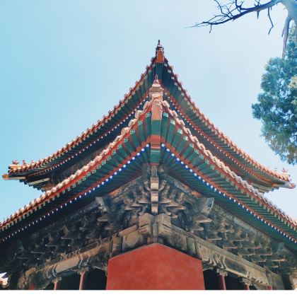 济南+泰安+曲阜+青岛+威海+烟台8日7晚跟团游 济南+泰安+曲阜+青岛+威海+烟台8日7晚跟团游