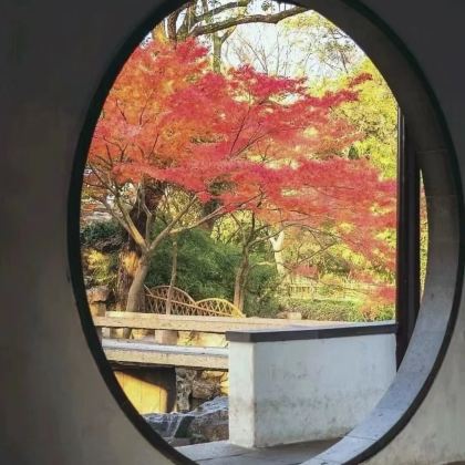 上海+乌镇+苏州5日4晚私家团 上海+乌镇+苏州5日4晚私家团