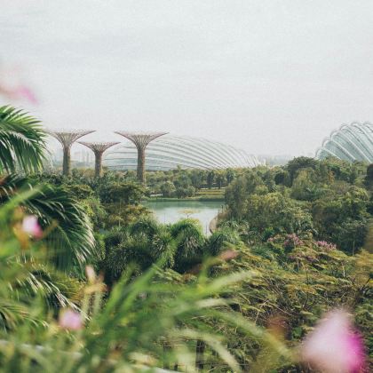 新加坡+马来西亚4日3晚私家团 新加坡+马来西亚4日3晚私家团