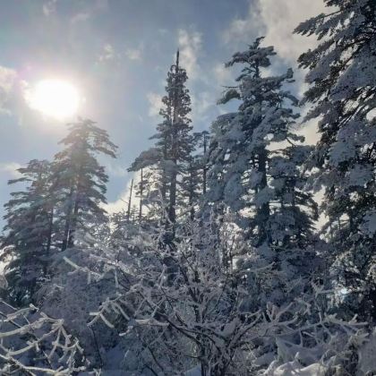 瓦屋山风景区+柳江古镇旅游风景区+雅女湖+碧峰峡景区5日4晚私家团 瓦屋山风景区+柳江古镇旅游风景区+雅女湖+碧峰峡景区5日4晚私家团