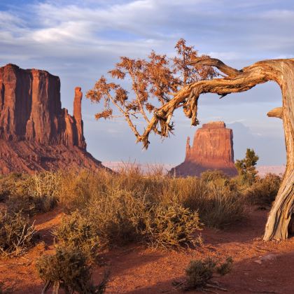 美国+加拿大+墨西哥29日跟团游 美国+加拿大+墨西哥29日跟团游