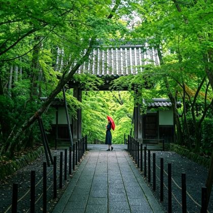 日本大阪+京都6日5晚自由行 日本大阪+京都6日5晚自由行