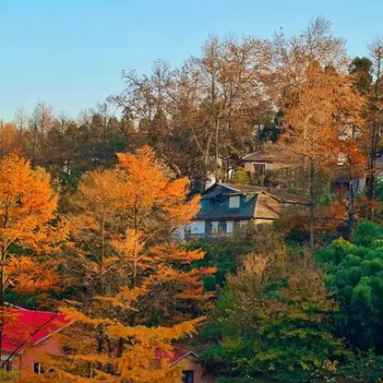 杭州+莫干山风景名胜区+南浔古镇6日5晚私家团