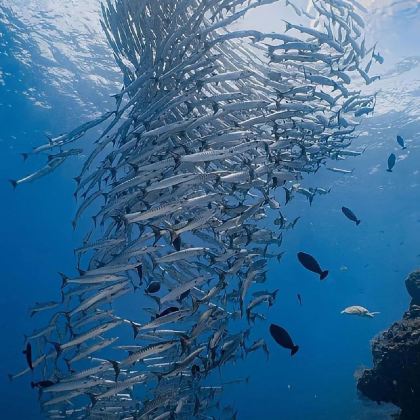 马来西亚仙本那6日4晚跟团游 马来西亚仙本那6日4晚跟团游