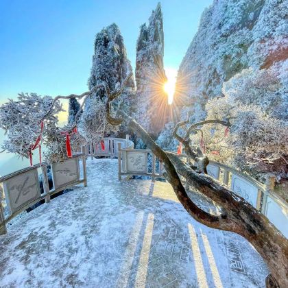 湖南郴州莽山·五指峰景区+莽山森林温泉2日1晚私家团