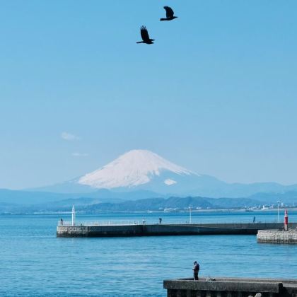日本大阪+京都+箱根+东京6日5晚跟团游 日本大阪+京都+箱根+东京6日5晚跟团游
