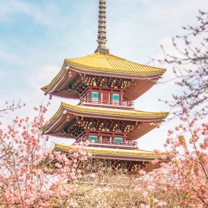 武汉+黄鹤楼+长江三峡+三峡大坝2日1晚跟团游 武汉+黄鹤楼+长江三峡+三峡大坝2日1晚跟团游
