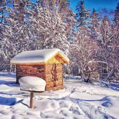 中央大街+圣索菲亚大教堂+哈尔滨冰雪大世界+东北虎林园+亚布力滑雪+哈药集团制药六厂+果戈里大街+中国雪乡+亚雪驿站十里画廊+大秃顶子山6日5晚私家团 中央大街+圣索菲亚大教堂+哈尔滨冰雪大世界+东北虎林园+亚布力滑雪+哈药集团制药六厂+果戈里大街+中国雪乡+亚雪驿站十里画廊+大秃顶子山6日5晚私家团