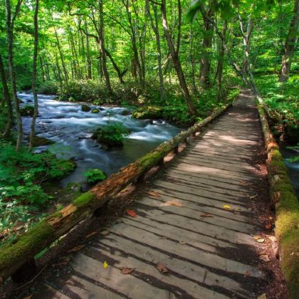 日本仙台+青森+秋田+山形县银山温泉8日7晚私家团 日本仙台+青森+秋田+山形县银山温泉8日7晚私家团