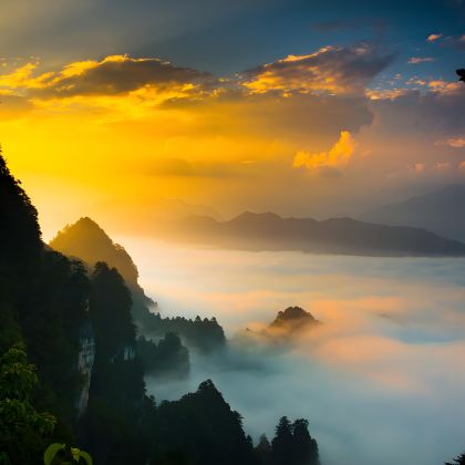 巴中+光雾山旅游景区+燕子岩+米仓山国家森林公园+米仓古道+恩阳古镇+北龛摩崖造像+光雾山小巫峡景区+琉璃寺6日5晚私家团 巴中+光雾山旅游景区+燕子岩+米仓山国家森林公园+米仓古道+恩阳古镇+北龛摩崖造像+光雾山小巫峡景区+琉璃寺6日5晚私家团