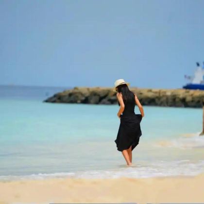 大连5日4晚跟团游 大连5日4晚跟团游