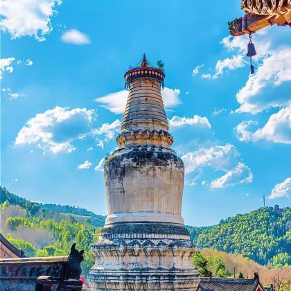 郑州+洛阳+山西7日6晚私家团 郑州+洛阳+山西7日6晚私家团