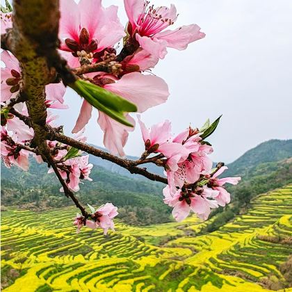 江西葛仙村度假区+望仙谷+三清山风景区+婺源篁岭景区4日3晚拼小团 江西葛仙村度假区+望仙谷+三清山风景区+婺源篁岭景区4日3晚拼小团