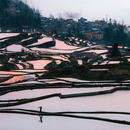 云南昆明+抚仙湖+建水+元阳+蒙自+普者黑景区+坝美世外桃源景区+泸西+弥勒+东川红土地+元谋土林11日10晚自由行 云南昆明+抚仙湖+建水+元阳+蒙自+普者黑景区+坝美世外桃源景区+泸西+弥勒+东川红土地+元谋土林11日10晚自由行