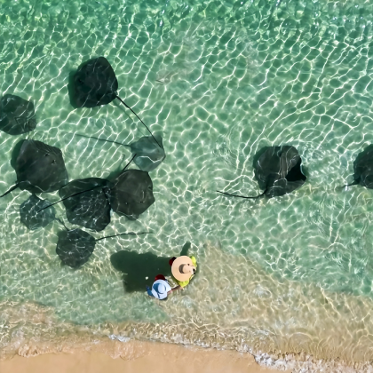 陵水5日4晚自由行 陵水5日4晚自由行