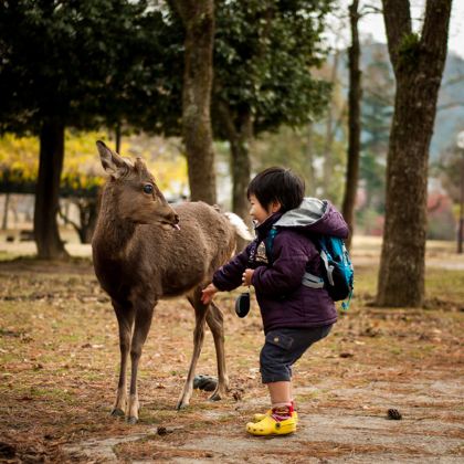 日本大阪+仙台+东京9日8晚私家团 日本大阪+仙台+东京9日8晚私家团