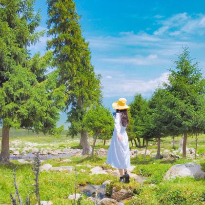 新疆乌鲁木齐+伊犁8日7晚跟团游 新疆乌鲁木齐+伊犁8日7晚跟团游