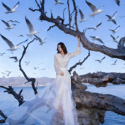 云南大理市+洱海4日3晚拼小团 云南大理市+洱海4日3晚拼小团