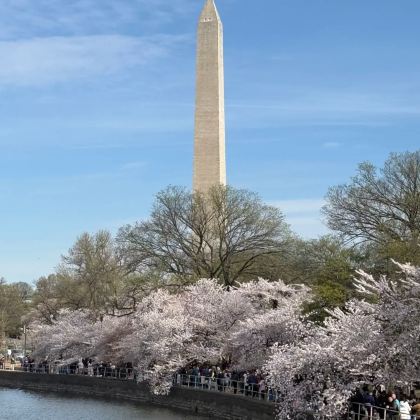 纽约+华盛顿10日8晚私家团 纽约+华盛顿10日8晚私家团