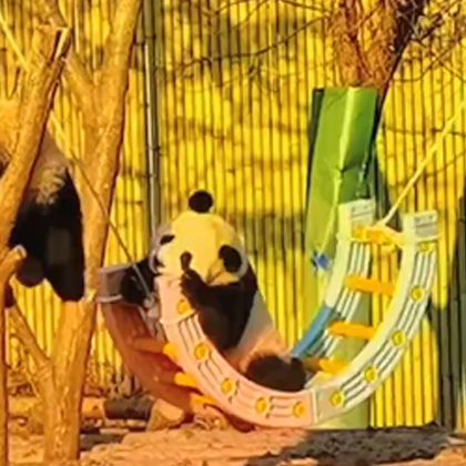 西安5日4晚拼小团 西安5日4晚拼小团