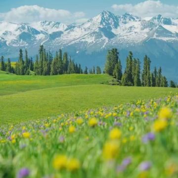 新疆乌鲁木齐+北疆+喀纳斯+吐鲁番8日7晚私家团 新疆乌鲁木齐+北疆+喀纳斯+吐鲁番8日7晚私家团