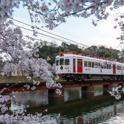 日本成田市2日1晚私家团 日本成田市2日1晚私家团