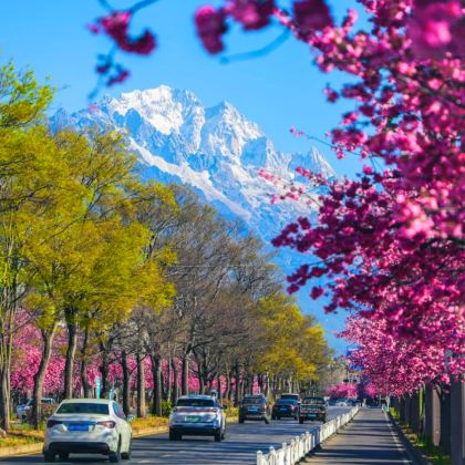昆明+大理市+丽江+玉龙雪山6日5晚跟团游 昆明+大理市+丽江+玉龙雪山6日5晚跟团游