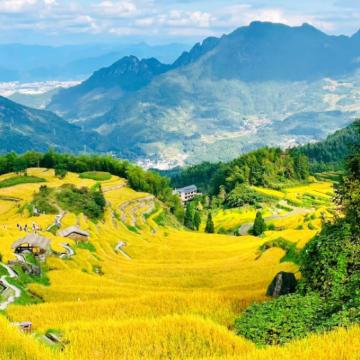 丽水+云和梯田景区+古堰画乡旅游度假区3日2晚拼小团 丽水+云和梯田景区+古堰画乡旅游度假区3日2晚拼小团